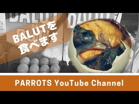 パロッツ君事務所のあるリンガエンに行ったら食べてみるべき食べ物”BALUT”