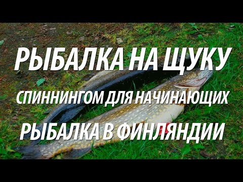 рыбалка советы бывалых спиннинг рыбалка советы бывалых спиннинг