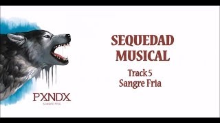 Watch Panda Sequedad Musical video