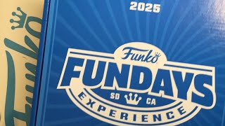 Funko Box Of Fun 2025 Box Opening