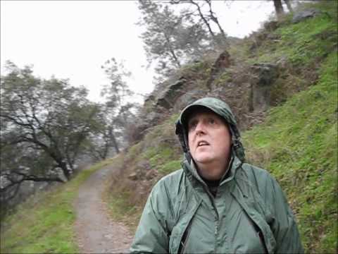 Millerton Lake State Recreation Area Reviews, Tips  Activities | Park ...