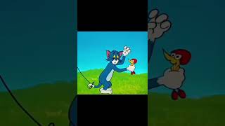 Tom And Jerrys Part 114 New Video 2025