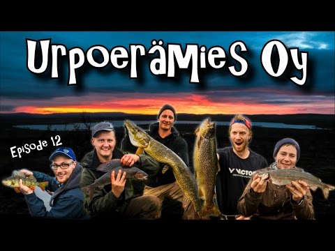 Urpoermies Oy - Kaldoaivin ermaa2
