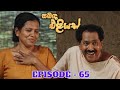 Sabanda Eliyas Episode 65