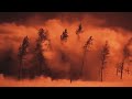 Documentary Film
