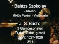 JS Bach: 3 Gambensonaten D-dur, G-dur, g-moll BWV. 1027-1029 - part 3