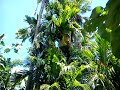 Sumbawa Bima Ntb images Sumbawa Bima Ntb