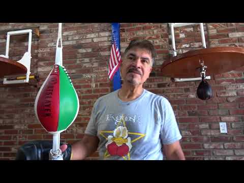 CANELO VS GGG 2 Hall Of Fame Boxer Carlos Palomino Breaks It Down EsNews Boxing