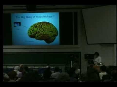 Richard O. Brown: The Neuroscience of Nothing