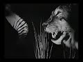 Blood Of Abraham Ft. Will I Am - Eyedollartree