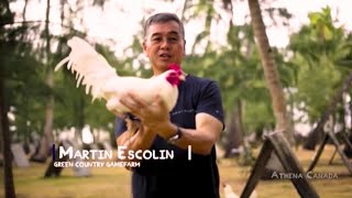 Escolin White Of Country Green Gamefarm