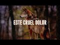 Solo Y Sin Tu Amor Video preview