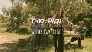 Trio Pagú - A Cor Favorita