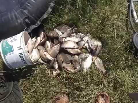 рыбалка на новотроицком водохранилище видео рыбалка на новотроицком водохранилище видео