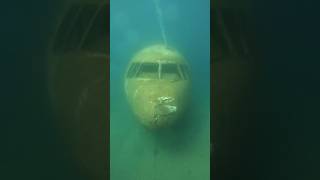 The Story of a Crashed Plane: Exploring Mysteries of Underwater Norman's Cay #yt