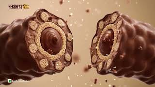 Introducing Hersheys Chocotubes Creamy Milk
