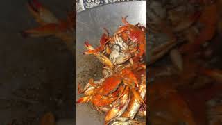 Pinamalhang Kasag Sauteèd In Oil And Salt. Ready To Serve Na Agad