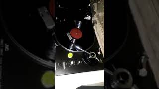 Erol Evgin Altın Düetler Lp, Plak
