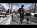 stopping your dog from pulling