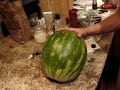 vodka