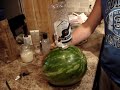 vodka