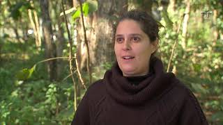 Repórter Eco - Reportagens Especiais