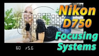Nikon D750 Tutorial Training - Focusing Systems - How to