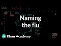 Naming the flu: H-something, N-something | Infectious diseases | Health & Medicine | Khan Academy