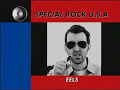 Eels - Novocaine For The Soul