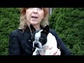 Animal Communication