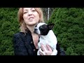 Animal Communication
