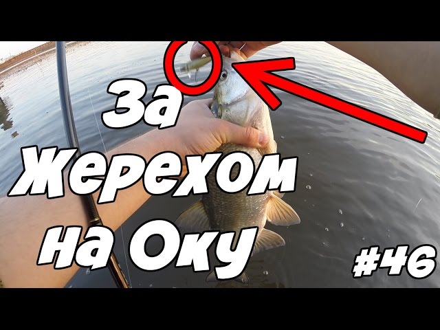 Видео о рыбалке №1657