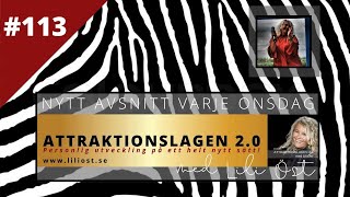 ATTRAKTIONSLAGEN 2.0 I #113 Att förhålla sig till negativt flow. En självstudie på nära håll