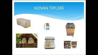 Hızlandırılmış Arıcılık Eğitimi - Temel Bilgiler