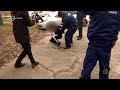 Kékfény - Terepmunka (2020.01.13.)