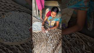 Did You Know How Silk Thread Is Made In India?