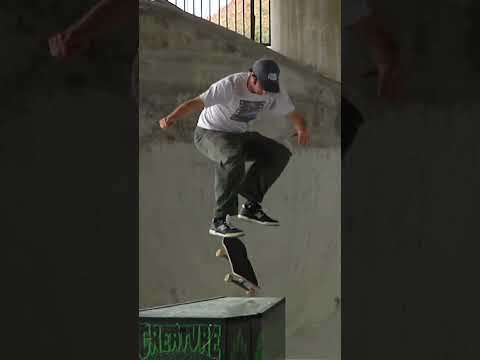 Bronson Speed Co ⚔️ The Undead