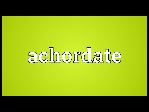 Header of achordate