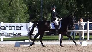 Sofia & Avicci K Dressyr Lb3 Grevagården 19-24.