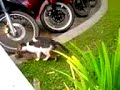 Vidio Mesum Di Tempat Umum images Vidio Mesum Di Tempat Umum
