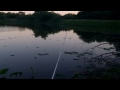 Topwater Strikes - KOPPERS Live Target Frog (Hat Cam Bass)