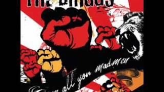 Watch Briggs Bloody Minds video