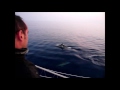 NAVEGAR EN FORMENTERA DELFINES II