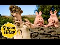 3DTV / The Smelly Farmer | 2 x Episodes | Shaun the Sheep S4