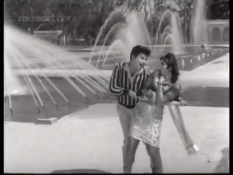 - Aasayaa kobamaa - TTY Liaquat