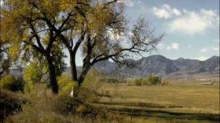 Watch Marty Robbins Cottonwood Tree video
