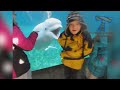 Most Amazing 1 Hour of Cute Kids And Pets 2018 | Funny Pet Videos!