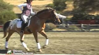Suzanne Von Dietze Teaching The Basics Of A Proper Riding Seat And Position
