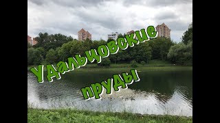 Видео Я Люблю Тебя Москва "Удальцовские Пруды" от Я Люблю Тебя Москва, Самаринская улица, Москва, Россия