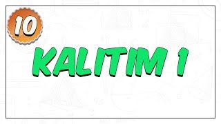 10. Sınıf Biyoloji Kalıtım 1 Eşeyli Üreme Ve Kalıtsal Kavramlar